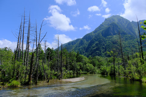 梓川右岸コース