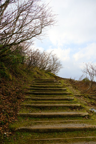 伊吹山9合目