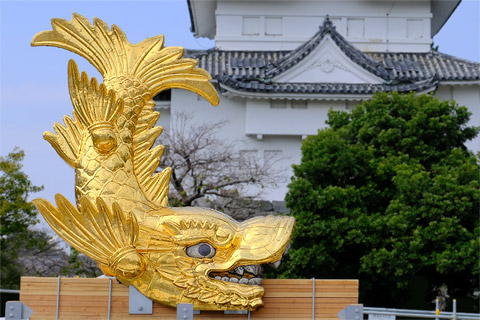 名古屋城の金シャチ降臨！名古屋城金鯱展と細部のこだわりが