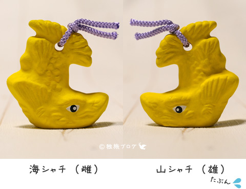名古屋城の金シャチ降臨！名古屋城金鯱展と細部のこだわりが