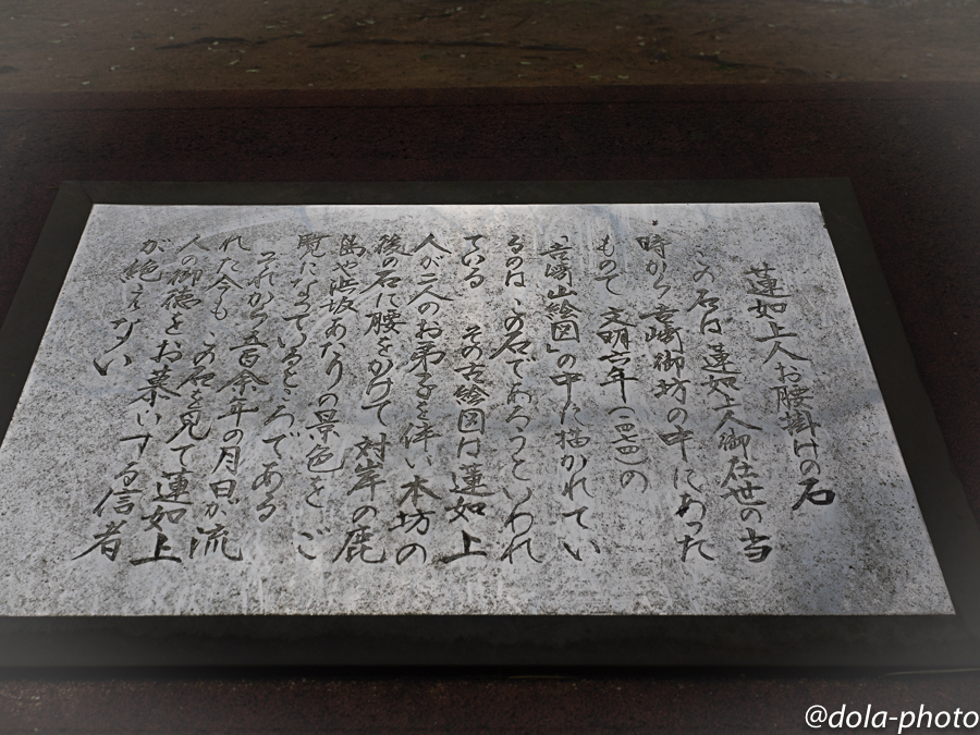 f:id:dolasnap:20200520225004j:plain f:id:dolasnap:20200520225004j:plain