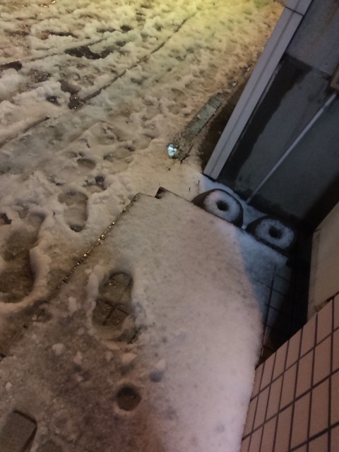 f:id:dolce-vita-riko:20161020203932j:plain