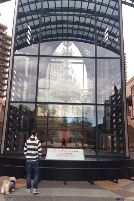 f:id:dolce-vita-riko:20171119094144j:plain