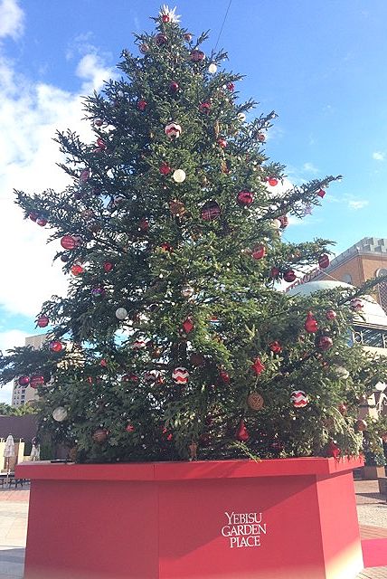 f:id:dolce-vita-riko:20171123115502j:plain