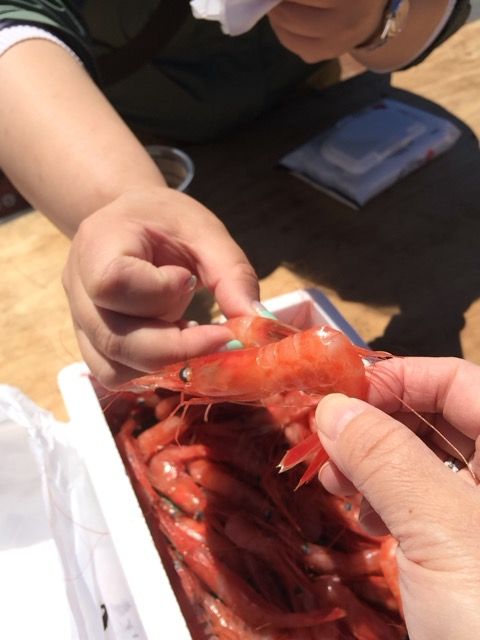 f:id:dolce-vita-riko:20180603215910j:plain