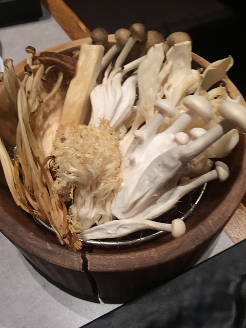 f:id:dolce-vita-riko:20190117142439j:plain f:id:dolce-vita-riko:20190117142439j:plain
