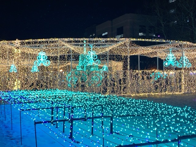 f:id:dolce-vita-riko:20201225232813j:plain