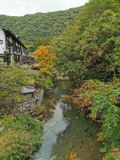 f:id:dolce_sfogato:20221020080737j:image f:id:dolce_sfogato:20221020080737j:image