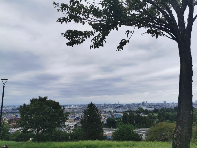 f:id:dolce_sfogato:20260902190559j:image