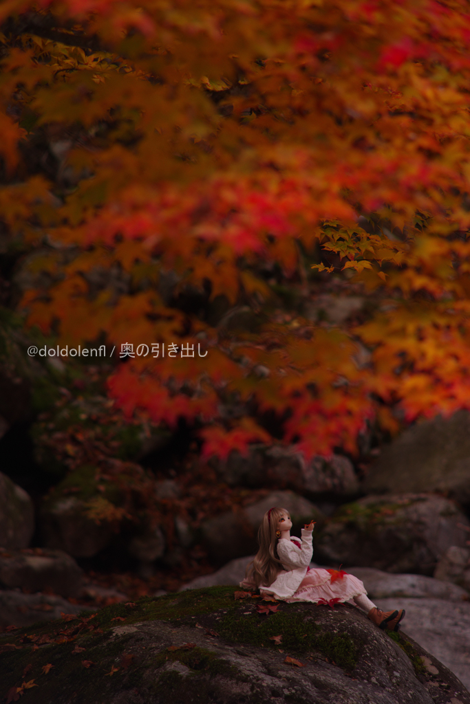 f:id:doldolenfl:20191128144700j:plain f:id:doldolenfl:20191128144700j:plain