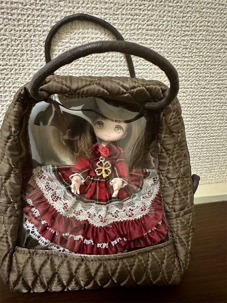 f:id:dolllog:20250528031629j:image