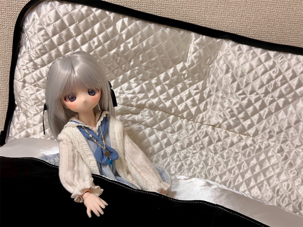 f:id:dolllog:20250528031645j:image