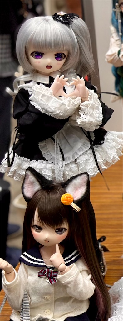 f:id:dolllog:20250729195238j:image