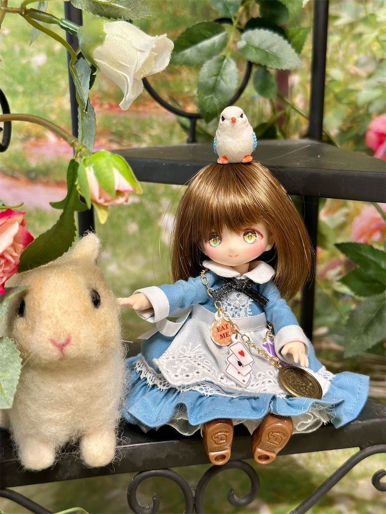 f:id:dolllog:20250813004631j:image f:id:dolllog:20250813004631j:image
