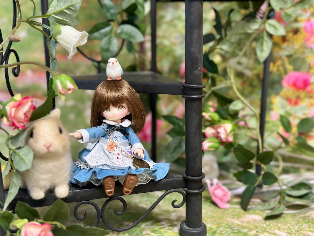 f:id:dolllog:20250813004802j:image f:id:dolllog:20250813004802j:image