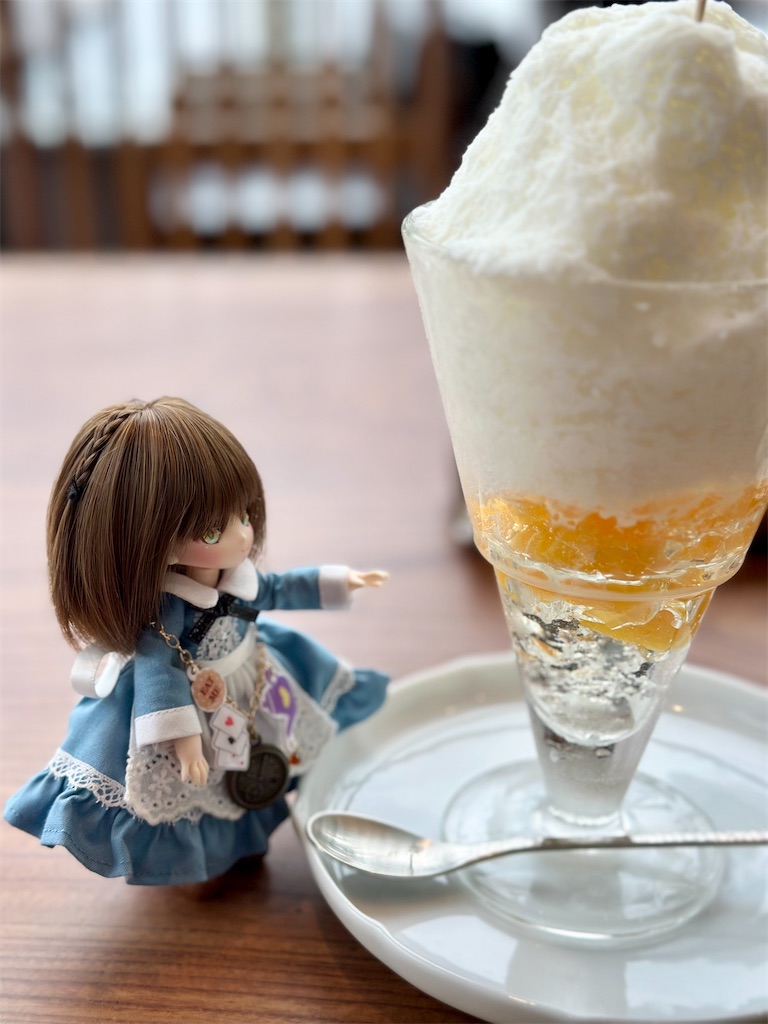 f:id:dolllog:20250916134503j:image