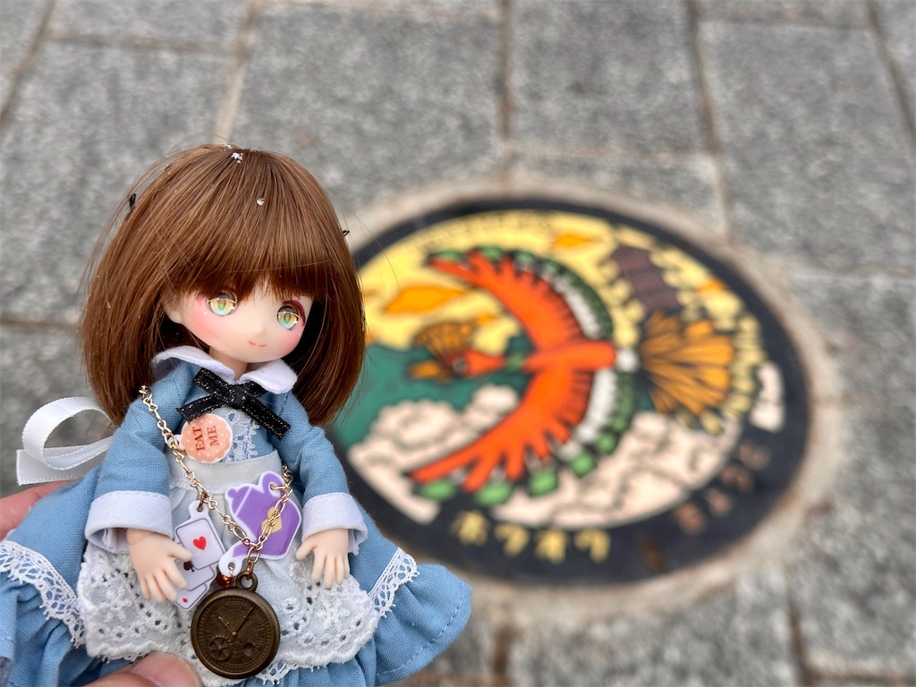 f:id:dolllog:20260111231120j:image