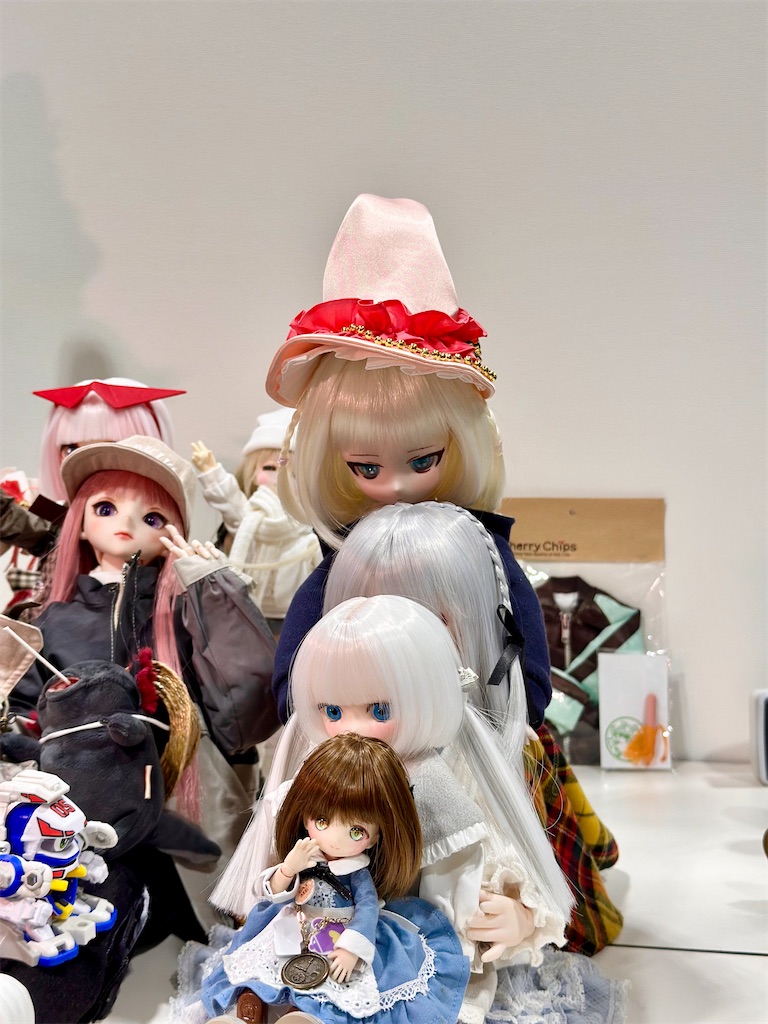 f:id:dolllog:20260216143442j:image