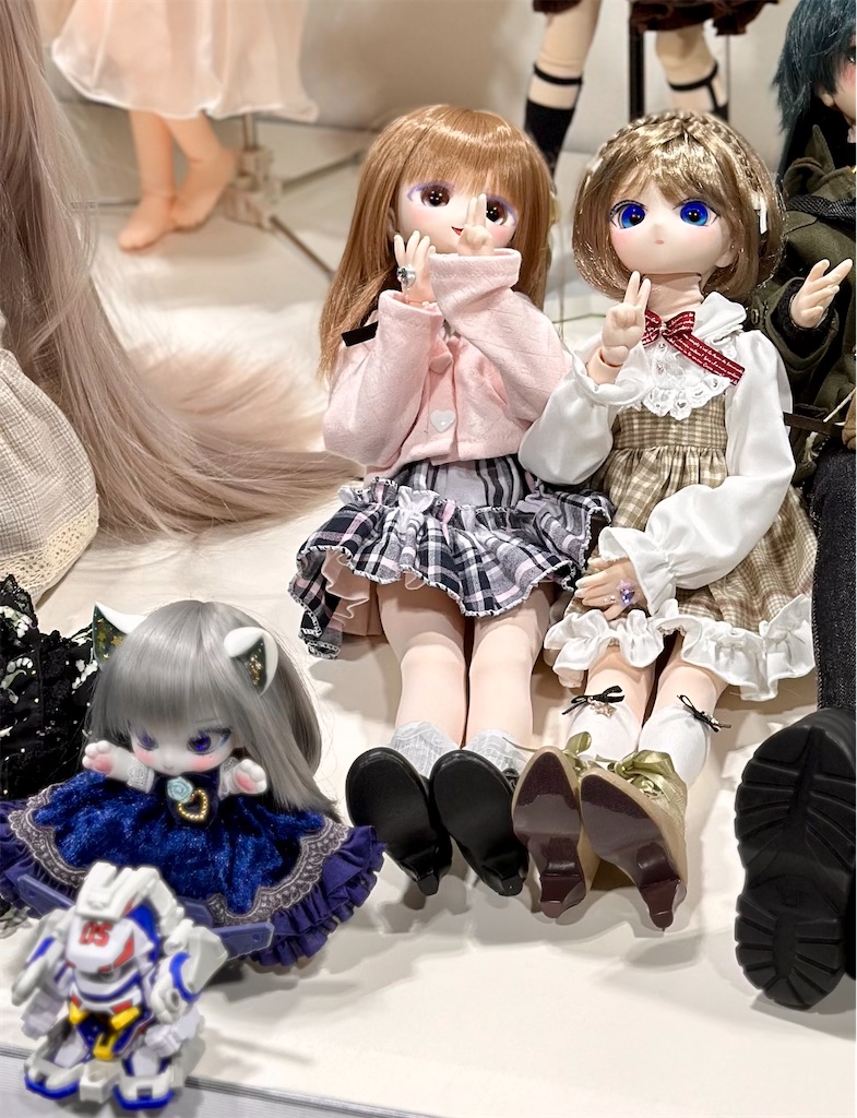 f:id:dolllog:20260217142600j:image