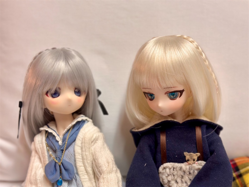 f:id:dolllog:20260217184620j:image