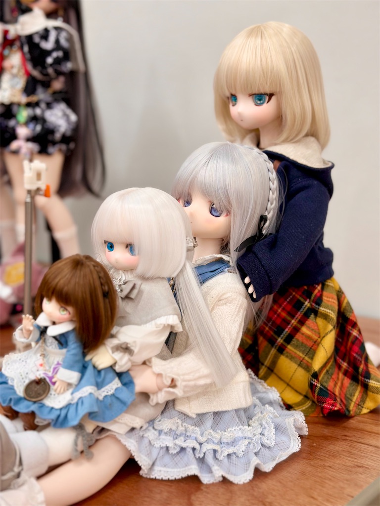 f:id:dolllog:20260226020701j:image