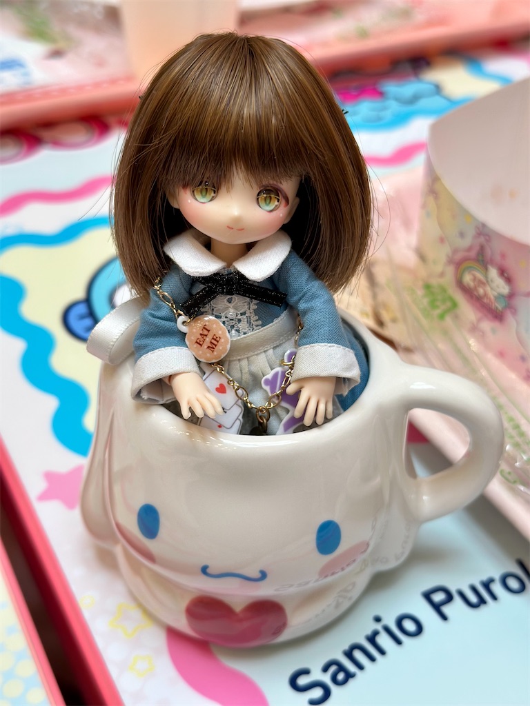 f:id:dolllog:20260428213901j:image