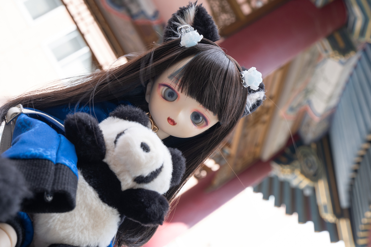 【昭和平成レトロ好きにおススメ♪】横浜中華街獅子舞のパペットぬいぐるみ♡ 楽天市場】中華街 獅子舞の通販