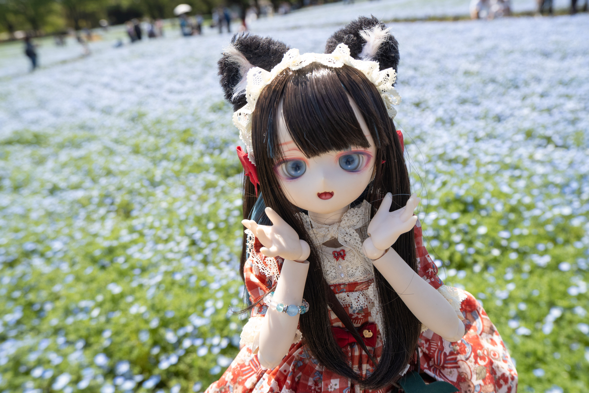 4月の昭和記念公園でお花とドール・ぬいぐるみ撮影 2026年ver - ドール