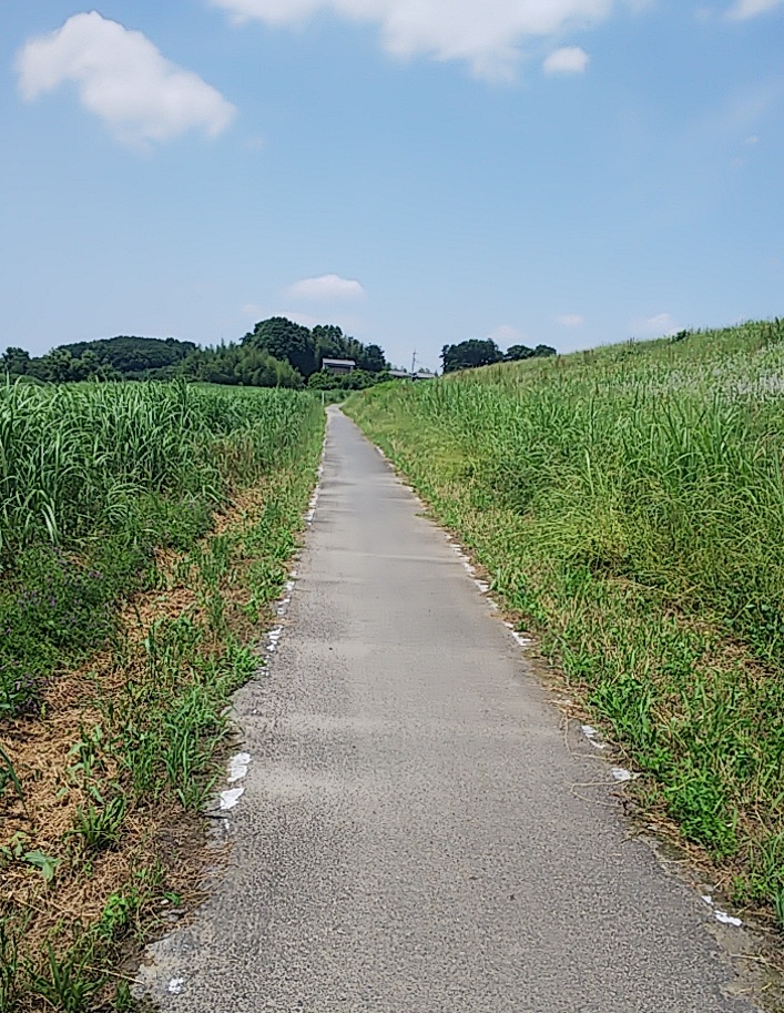 f:id:dollplayer:20200607220637j:plain