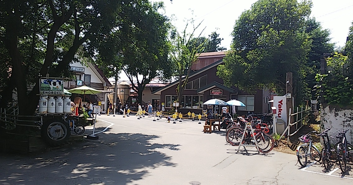 f:id:dollplayer:20200607221349j:plain