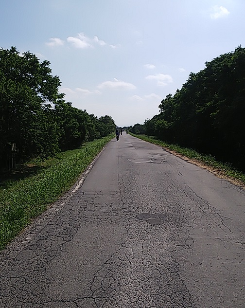 f:id:dollplayer:20200607221940j:plain