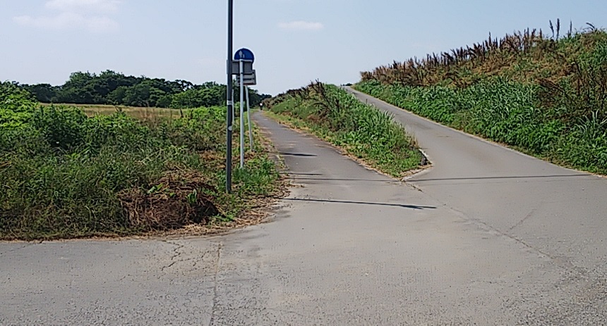 f:id:dollplayer:20200607223527j:plain