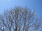 20140429190627