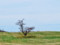 20140430193752