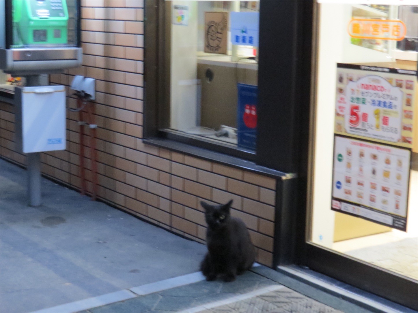 f:id:dollyosaka:20160825231518j:image