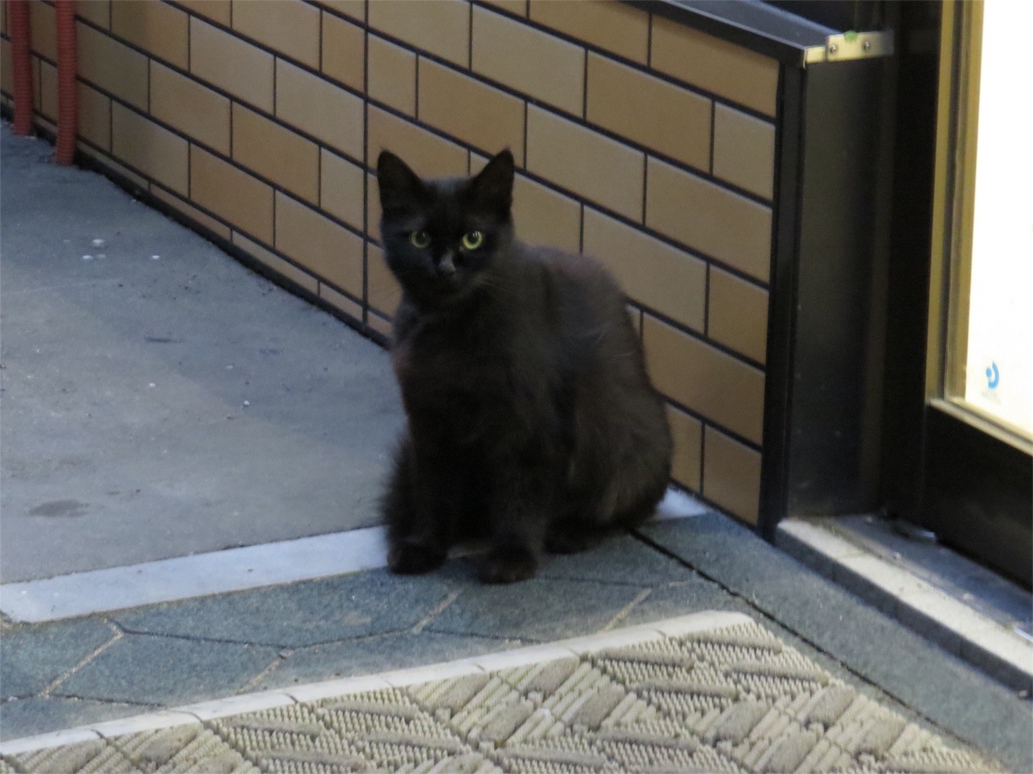 f:id:dollyosaka:20160826015239j:image