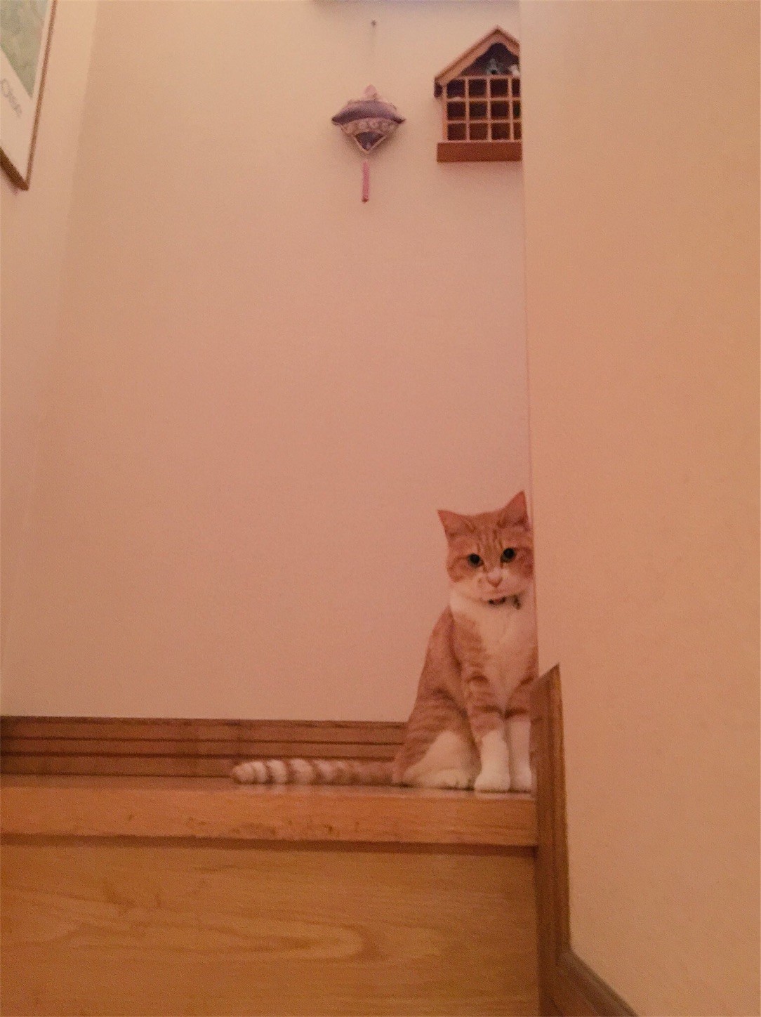 f:id:dollyosaka:20170603001952j:image