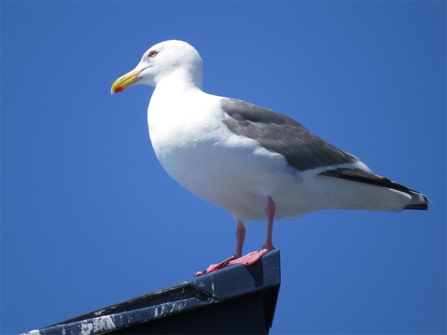 f:id:dollyosaka:20170729170437j:image