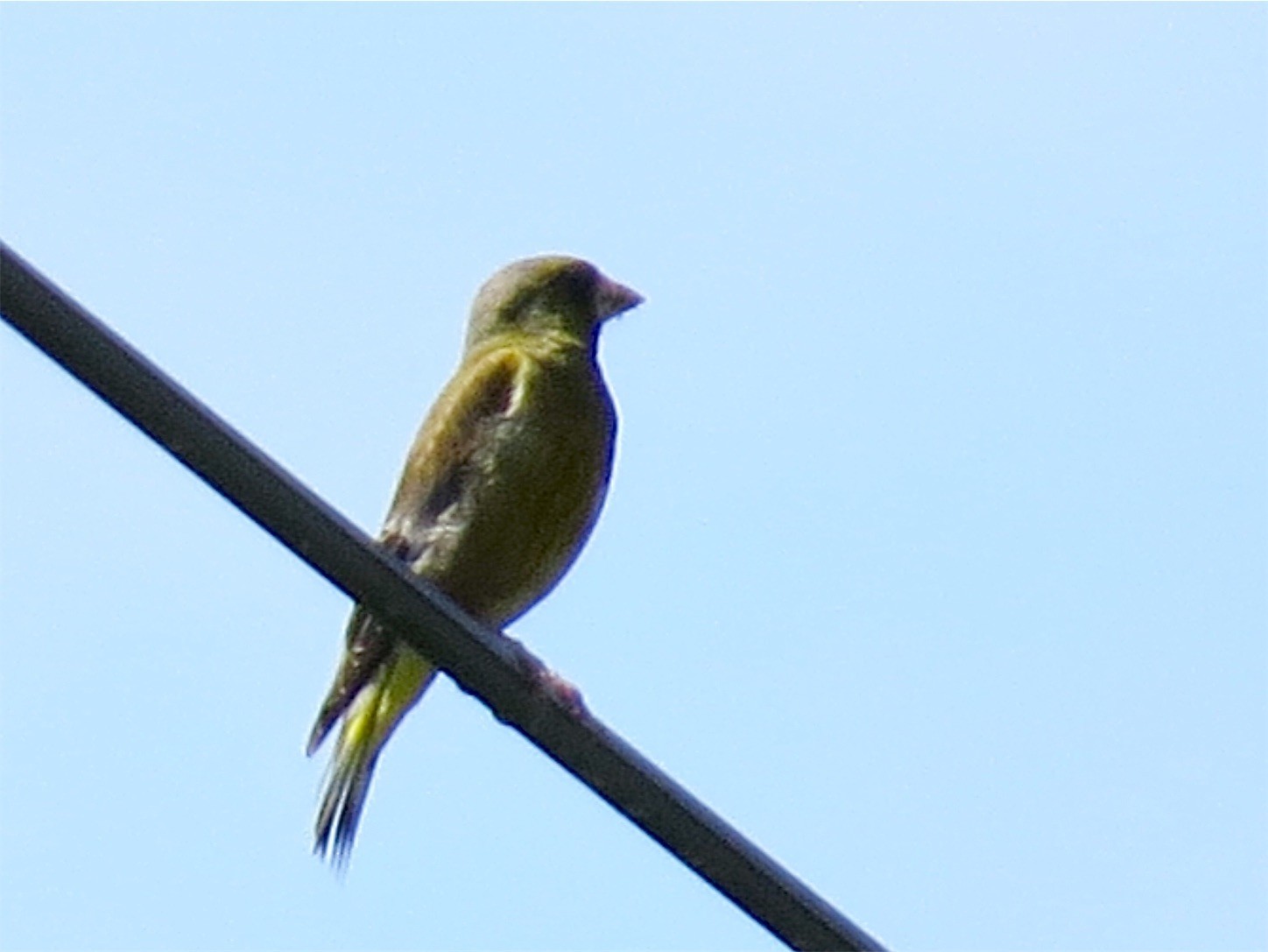 f:id:dollyosaka:20170729170714j:image