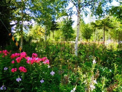 f:id:dollyosaka:20170802035618j:plain