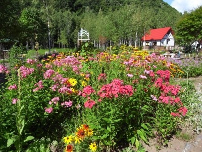 f:id:dollyosaka:20170802035639j:plain