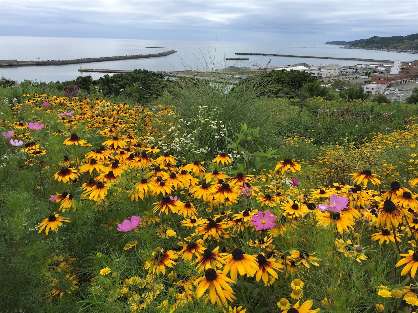 f:id:dollyosaka:20170814193941j:image