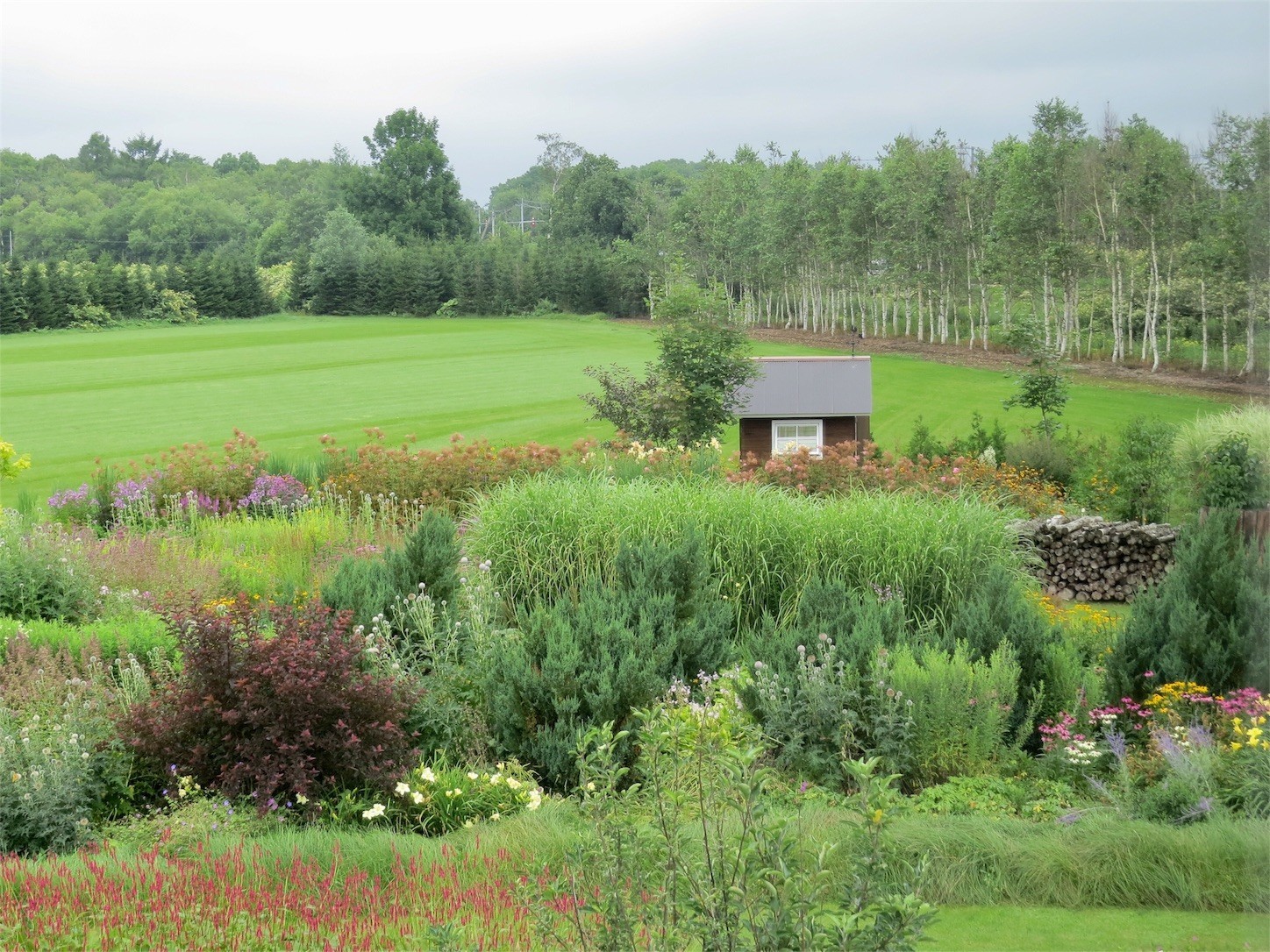 f:id:dollyosaka:20170818232639j:image