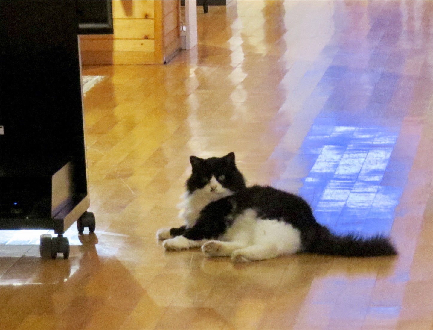 f:id:dollyosaka:20170821191254j:image