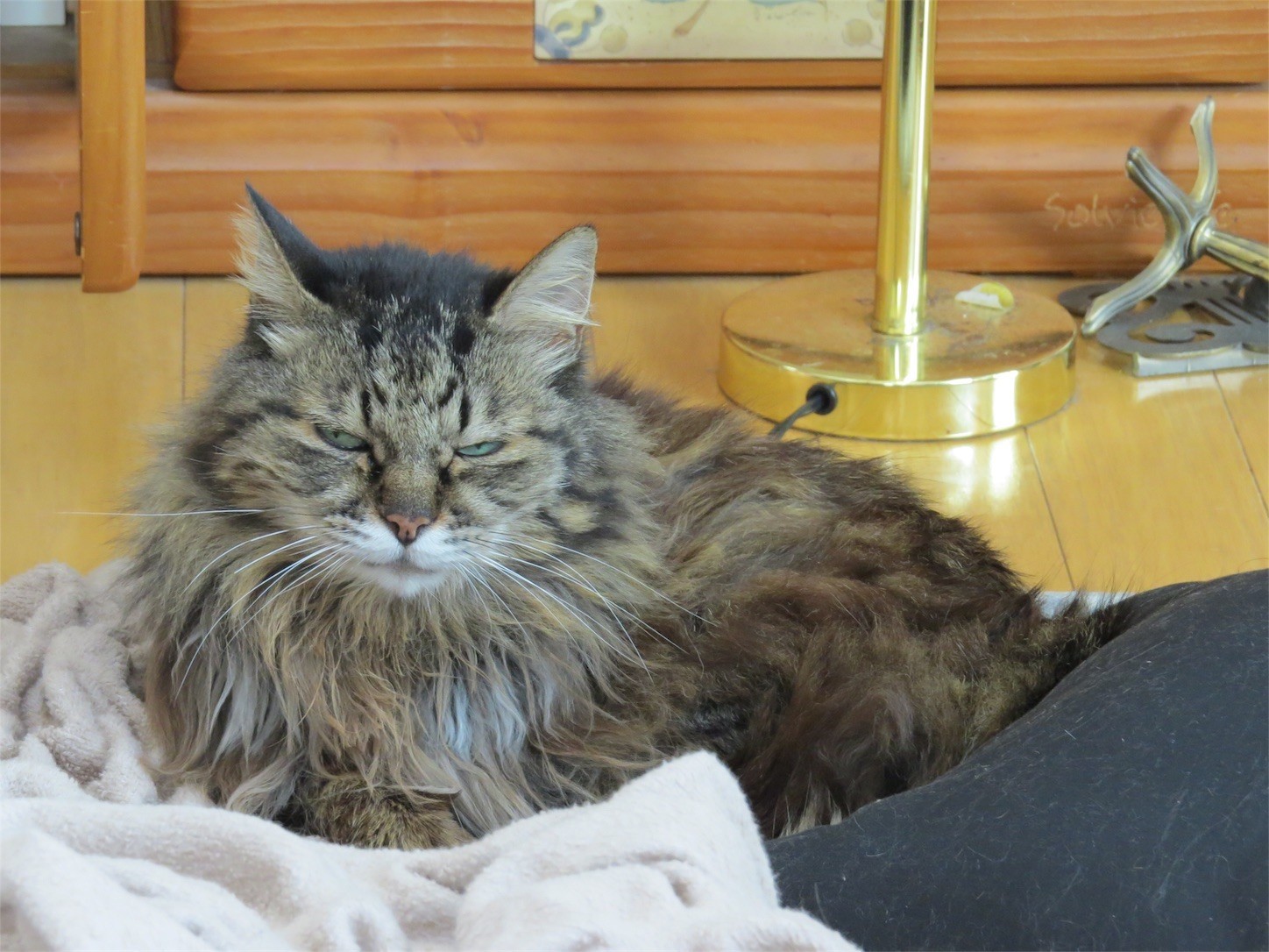 f:id:dollyosaka:20170821191643j:image