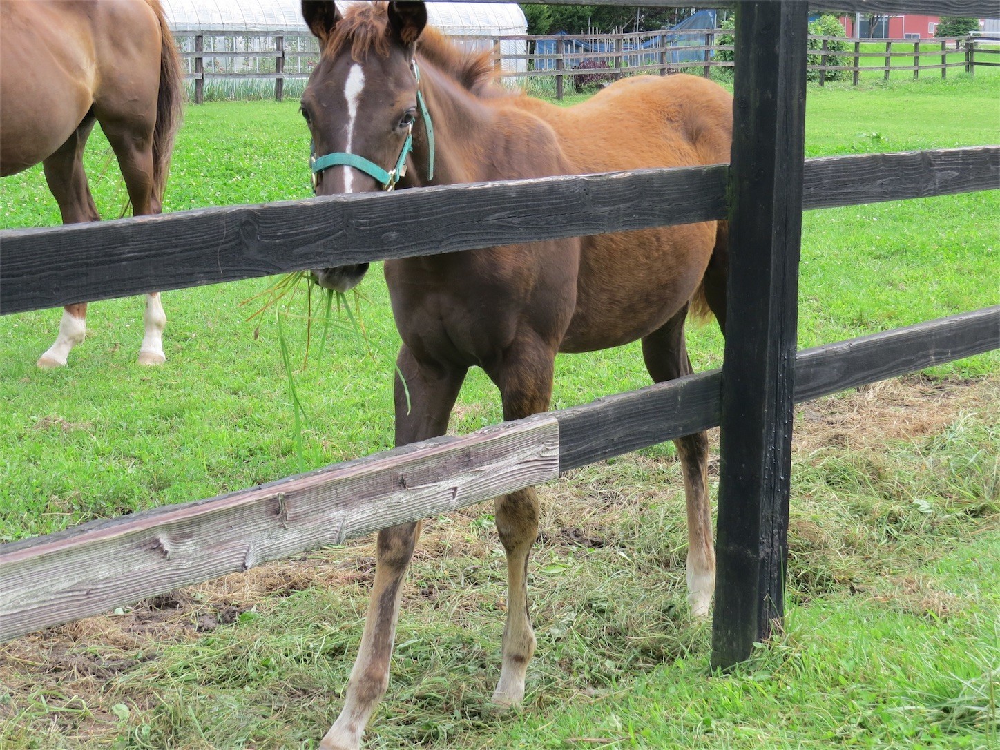 f:id:dollyosaka:20170830161118j:image