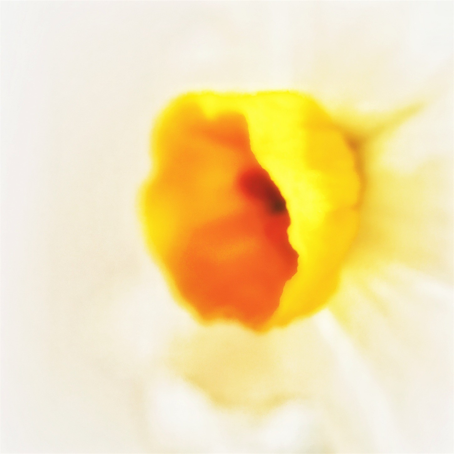 f:id:dollyosaka:20180218172911j:image