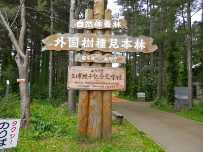 f:id:dollyosaka:20180324205945j:plain