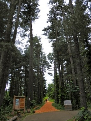 f:id:dollyosaka:20180324210003j:plain