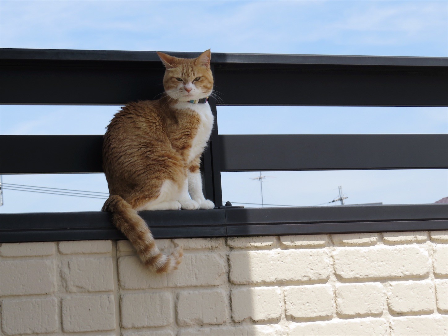 f:id:dollyosaka:20180512180141j:image